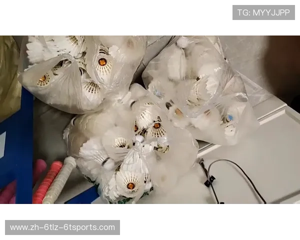 羽毛球旧球容易受伤 羽毛球旧球容易受伤